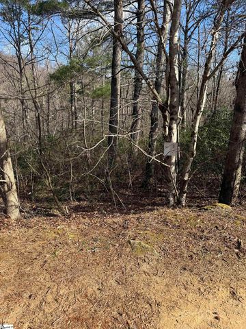 25 Lake Hill Lane, Travelers Rest, SC 29690
