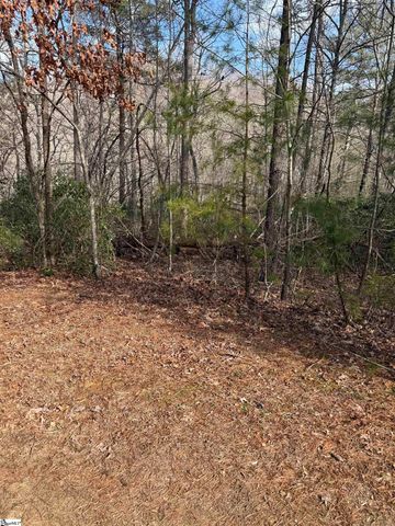 25 Lake Hill Lane, Travelers Rest, SC 29690