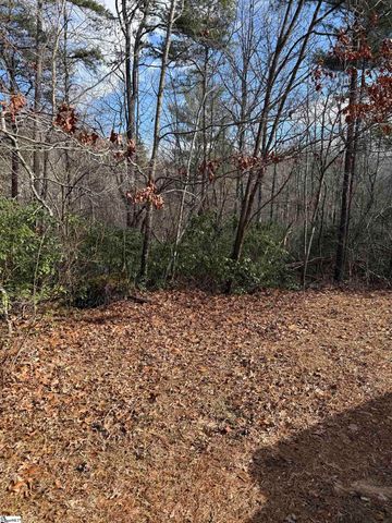 25 Lake Hill Lane, Travelers Rest, SC 29690