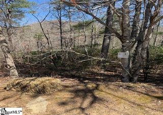 25 Lake Hill Lane, Travelers Rest, SC 29690