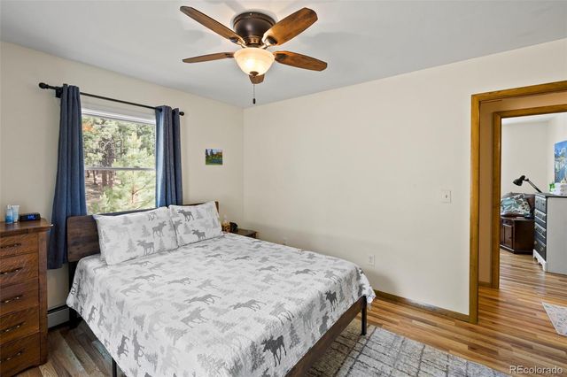 1110 Pikes Peak Drive, Florissant, CO 80816