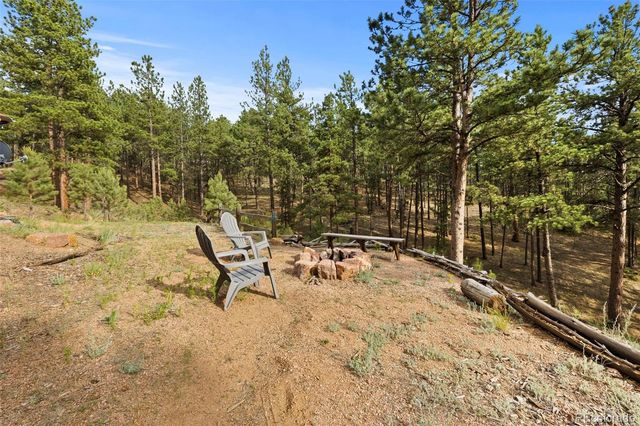 1110 Pikes Peak Drive, Florissant, CO 80816