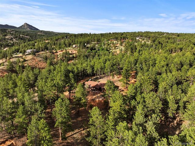 1110 Pikes Peak Drive, Florissant, CO 80816
