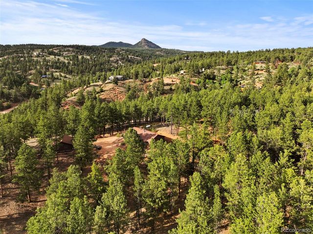 1110 Pikes Peak Drive, Florissant, CO 80816