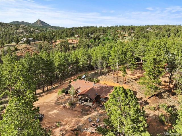 1110 Pikes Peak Drive, Florissant, CO 80816