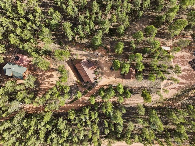 1110 Pikes Peak Drive, Florissant, CO 80816