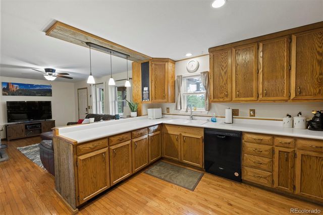 1110 Pikes Peak Drive, Florissant, CO 80816