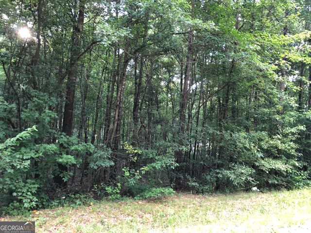 0 E Atlanta Road @KINSEY DR, Stockbridge, GA 30281