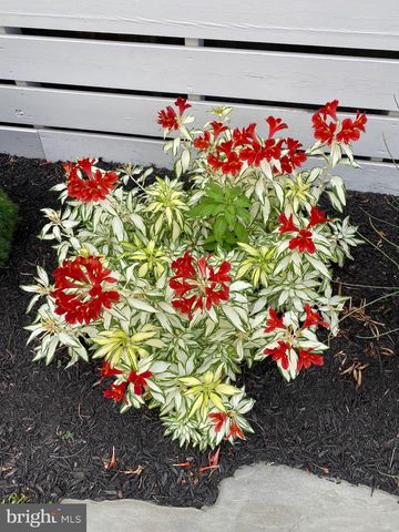 7 W ESSEX ST, Fenwick Island, DE 19944