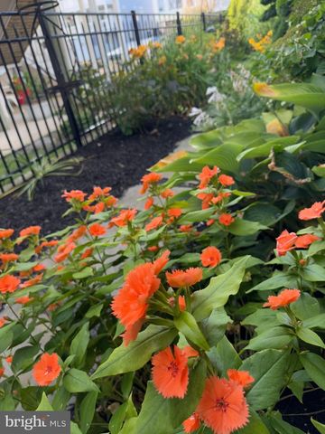 7 W ESSEX ST, Fenwick Island, DE 19944