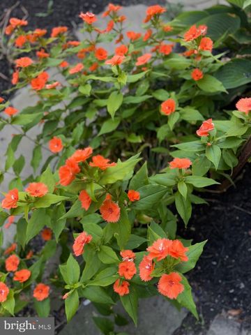 7 W ESSEX ST, Fenwick Island, DE 19944