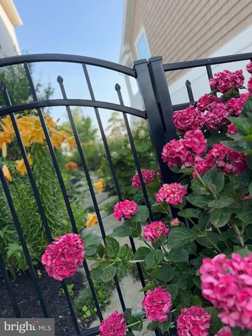 7 W ESSEX ST, Fenwick Island, DE 19944