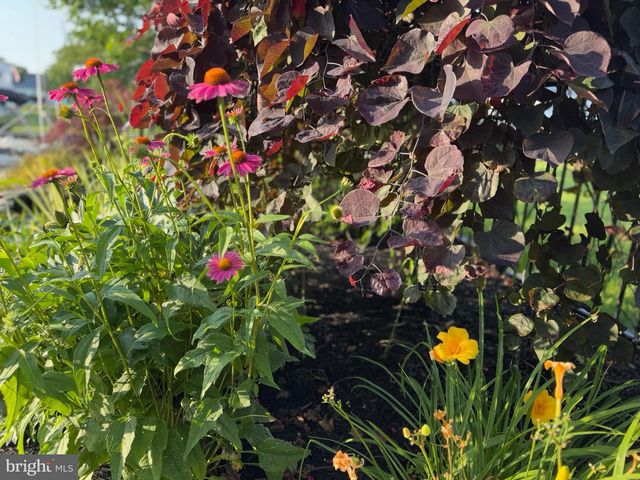 7 W ESSEX ST, Fenwick Island, DE 19944