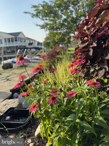 7 W ESSEX ST, Fenwick Island, DE 19944