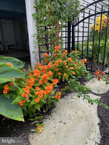 7 W ESSEX ST, Fenwick Island, DE 19944