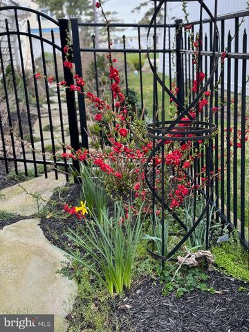 7 W ESSEX ST, Fenwick Island, DE 19944