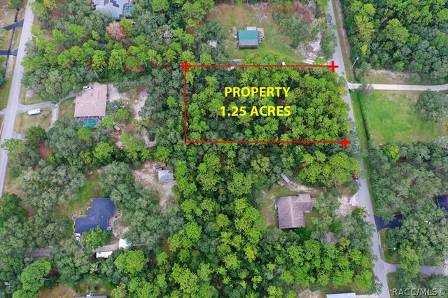 2659 S Bolton Avenue, Homosassa, FL 34448