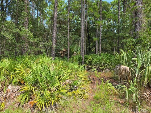 2659 S Bolton Avenue, Homosassa, FL 34448
