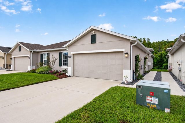 18333 TURNING LEAF CIRCLE, Land O Lakes, FL 34638