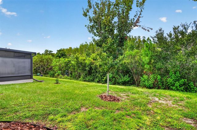 18333 TURNING LEAF CIRCLE, Land O Lakes, FL 34638