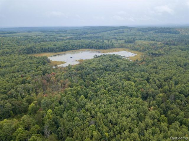 322 E Pere Cheney Road, Roscommon, MI 48653