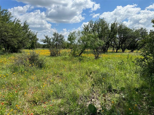 TBD1018 Lake Breeze Drive, Brownwood, TX 76801