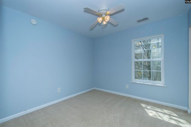 392 Eagle Pointe Drive, Chapin, SC 29036