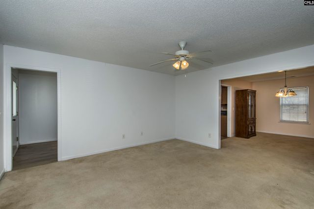 392 Eagle Pointe Drive, Chapin, SC 29036