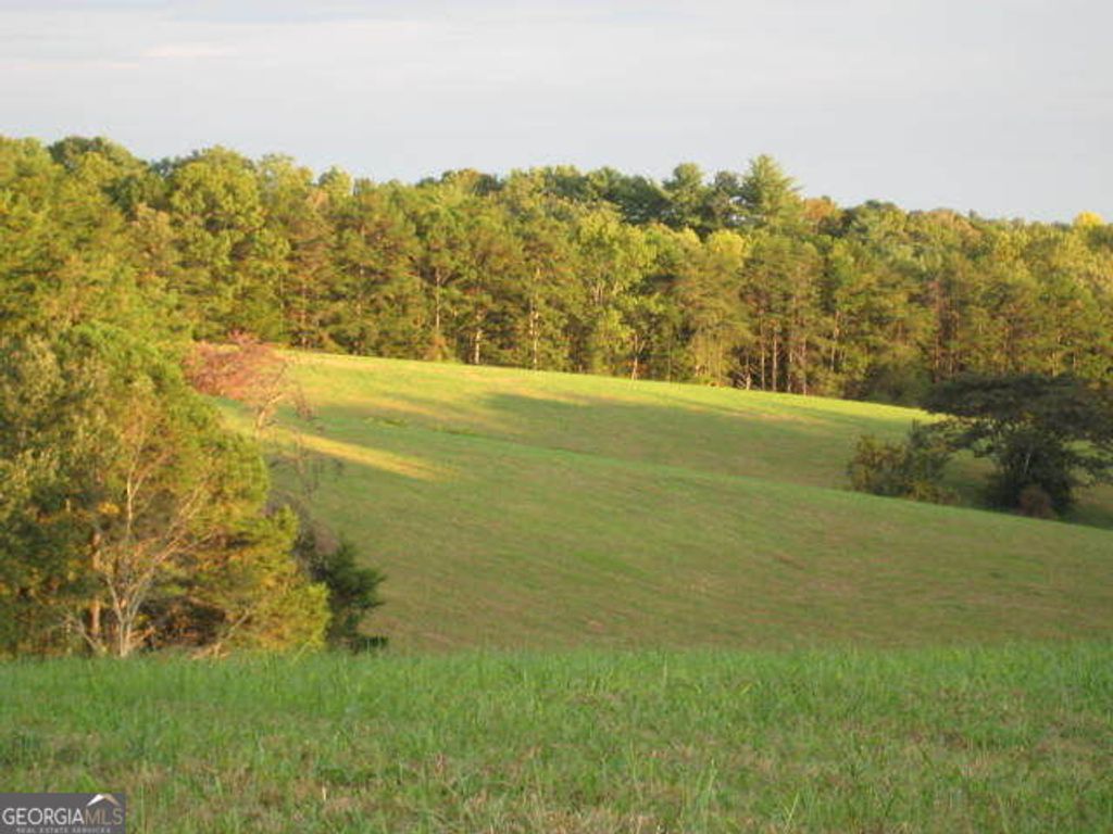 305 Laurel Springs/Opossum, Long Creek, SC 29664 — photo 2