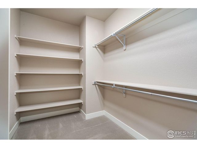 6928 Summerwind Ct, Timnath, CO 80547