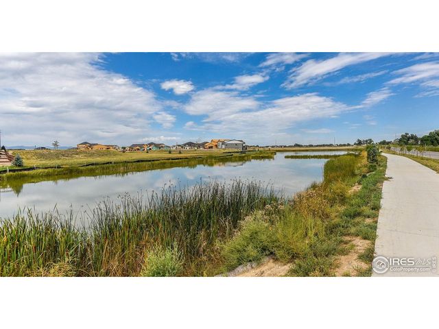 6928 Summerwind Ct, Timnath, CO 80547