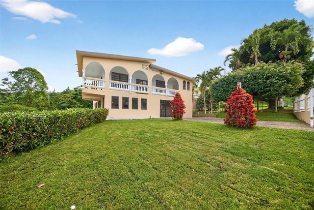 PR-184 KM 32.4 S BEATRIZ, Cayey, PR 00736