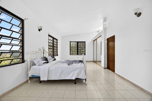 PR-184 KM 32.4 S BEATRIZ, Cayey, PR 00736