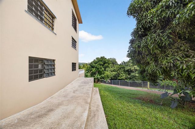 PR-184 KM 32.4 S BEATRIZ, Cayey, PR 00736