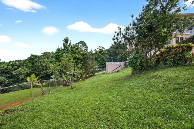 PR-184 KM 32.4 S BEATRIZ, Cayey, PR 00736