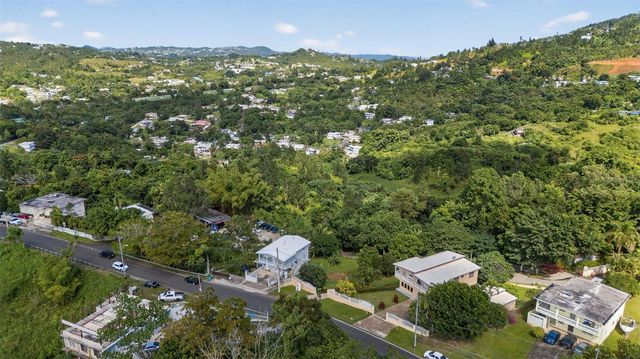 PR-184 KM 32.4 S BEATRIZ, Cayey, PR 00736