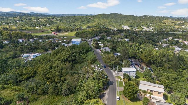 PR-184 KM 32.4 S BEATRIZ, Cayey, PR 00736