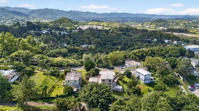 PR-184 KM 32.4 S BEATRIZ, Cayey, PR 00736