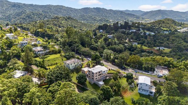 PR-184 KM 32.4 S BEATRIZ, Cayey, PR 00736