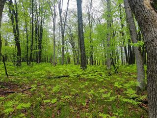 Lot 606 Timber Road, Farwell, MI 48622