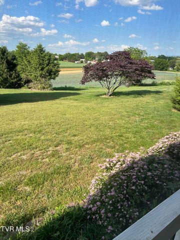 210 Ebenezer Loop, Chuckey, TN 37641