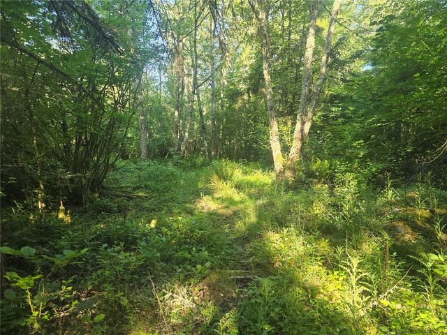 13701 Starflower Lane SE, Yelm, WA 98597