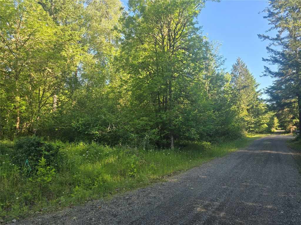 13701 Starflower Lane SE, Yelm, WA 98597