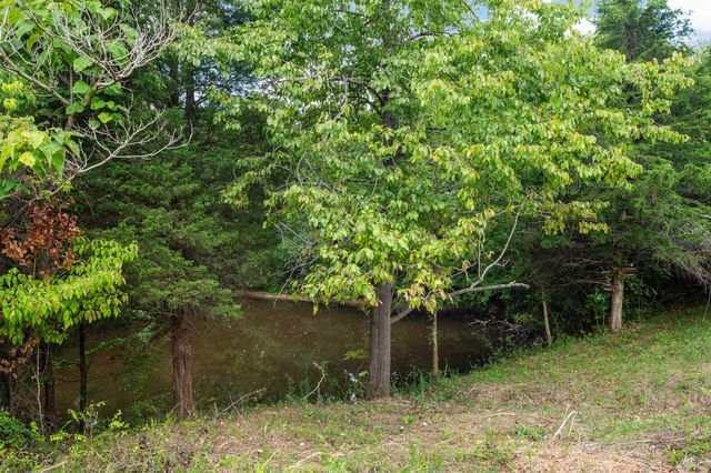 2114 Peach Orchard Rd, Culleoka, TN 38451