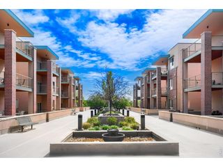 1053 W Century Dr 203, Louisville, CO 80027