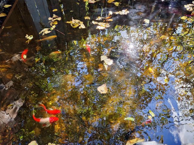 140 Meadowbrook Street, Robinson, TX 76706