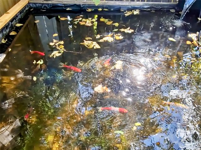 140 Meadowbrook Street, Robinson, TX 76706