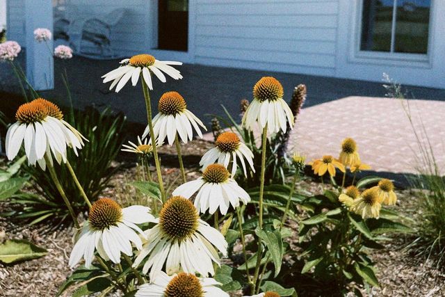 4029 Serenbe Street, Middleton, WI 53562