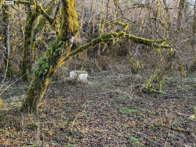 65586 NEHALEM Hwy, Vernonia, OR 97064
