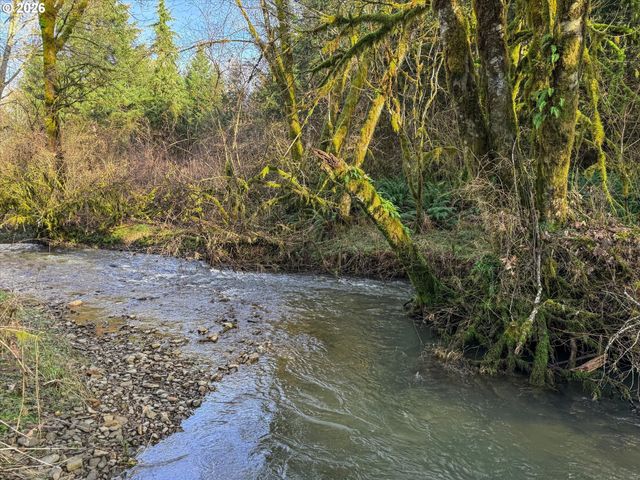 65586 NEHALEM Hwy, Vernonia, OR 97064